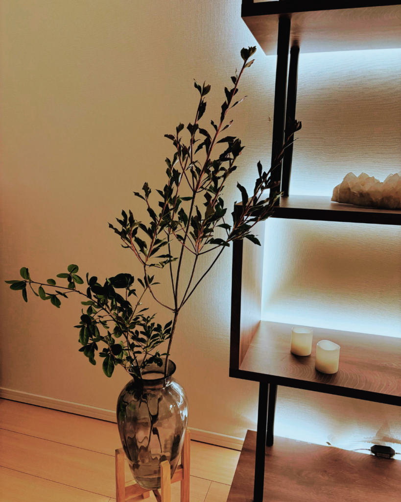 光と植物のあるCocoon